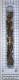 Strontium-Ampulle-gross