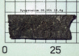 Dy-9995-158g-03