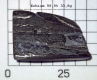 Erbium-999-338g-03