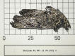 Thulium-9995-385g-02