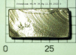 Ytterbium-999-398g-04
